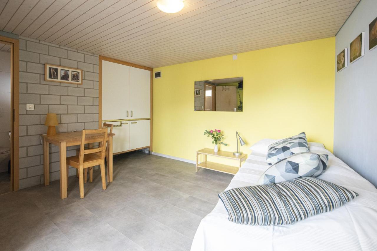 Appartement Casa Eva à Ronco sopra Ascona Extérieur photo