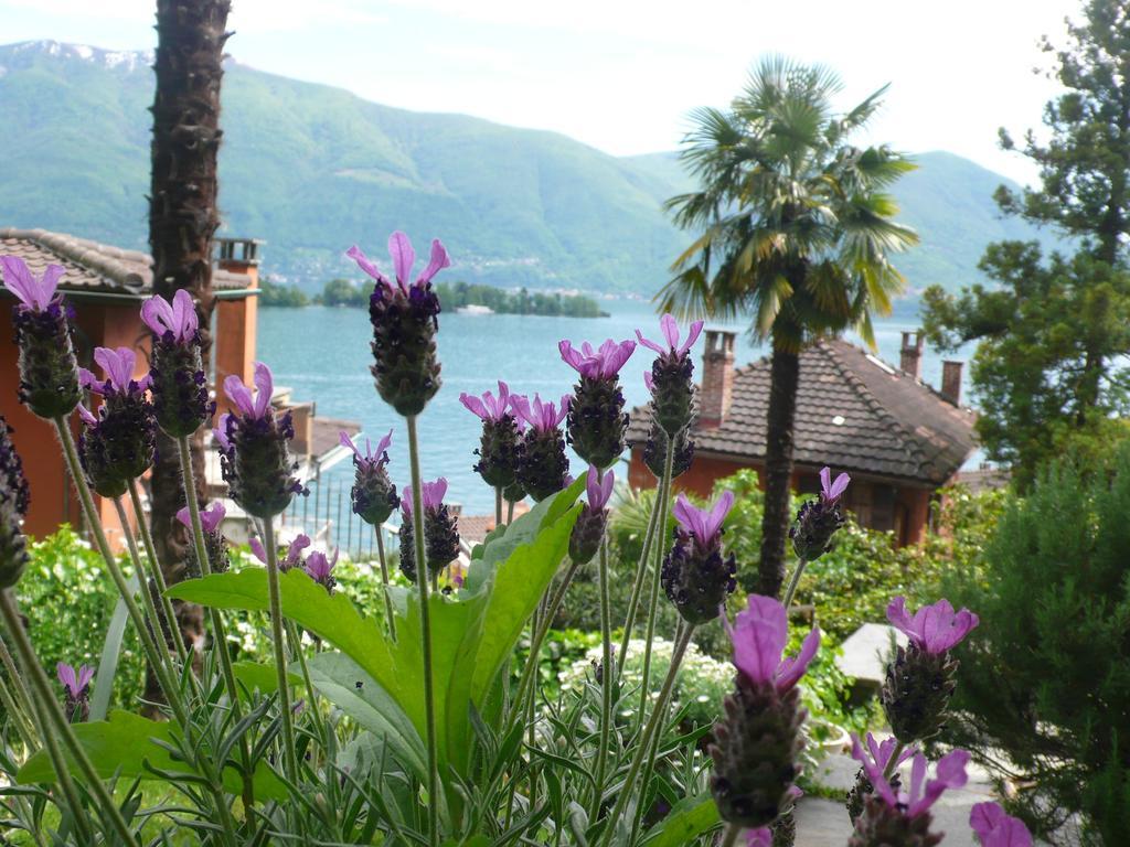 Appartement Casa Eva à Ronco sopra Ascona Extérieur photo
